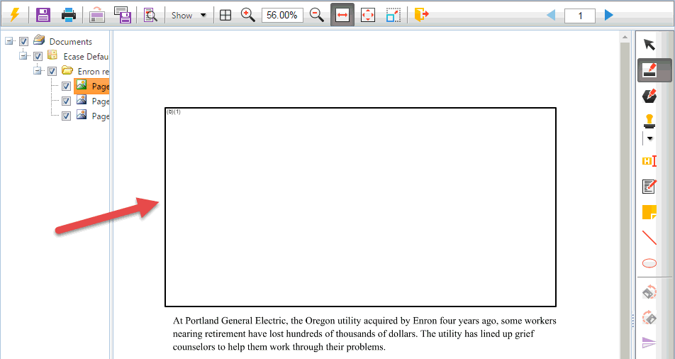Redacted Document Management screen